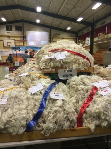 Golden Fleece
